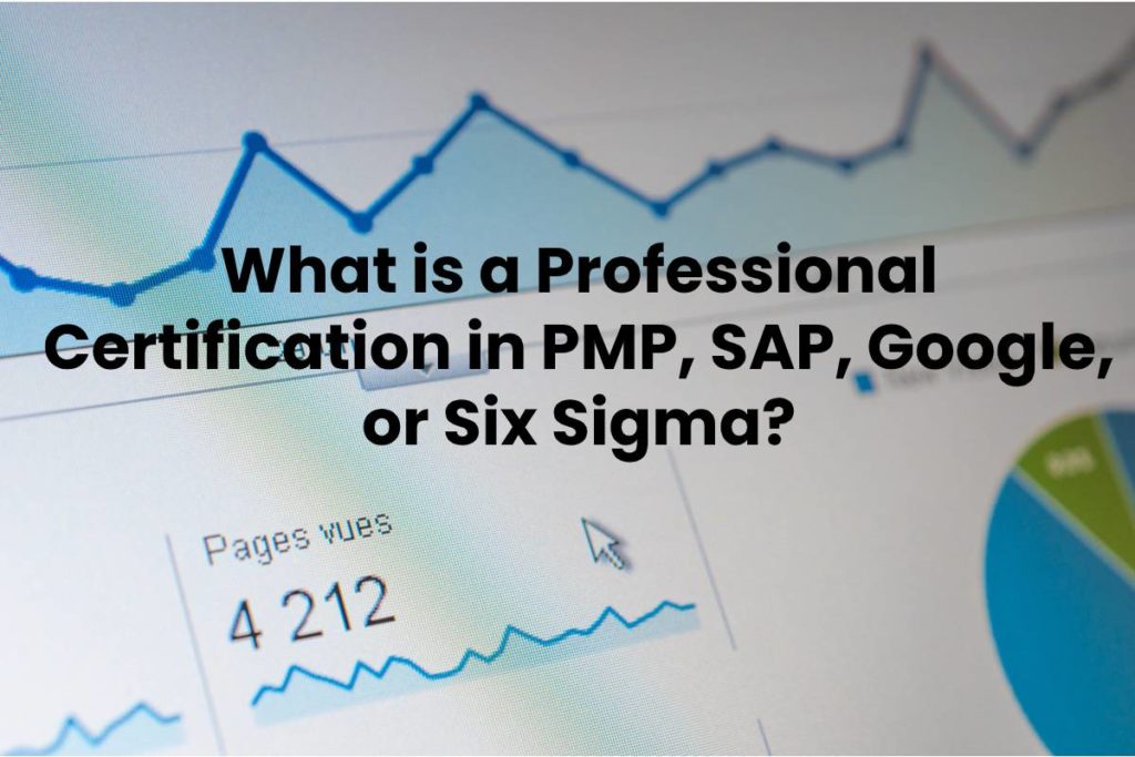 What is a Professional Certification in PMP, SAP, Google, or Six Sigma?
