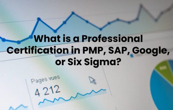  What is a Professional Certification in PMP, SAP, Google, or Six Sigma?