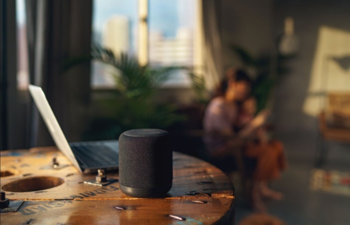 Voice Assistant