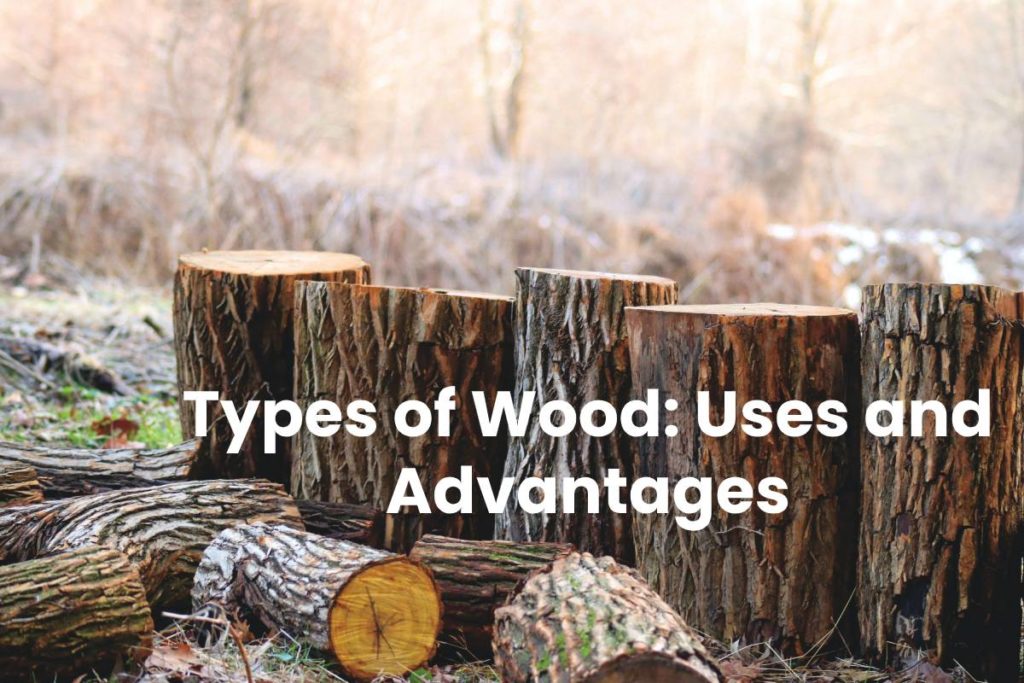 Types of Wood: Uses and Advantages