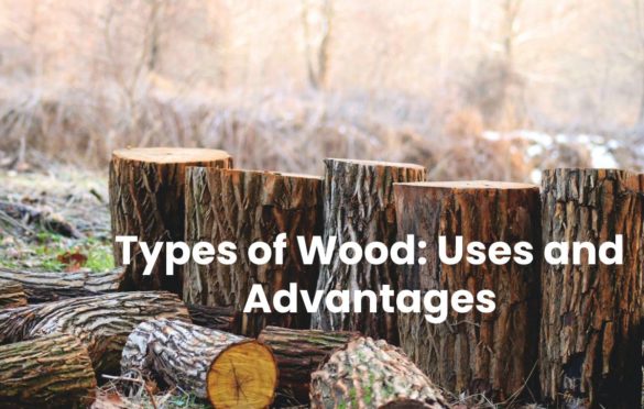  Wood: Types, Uses and Advantages