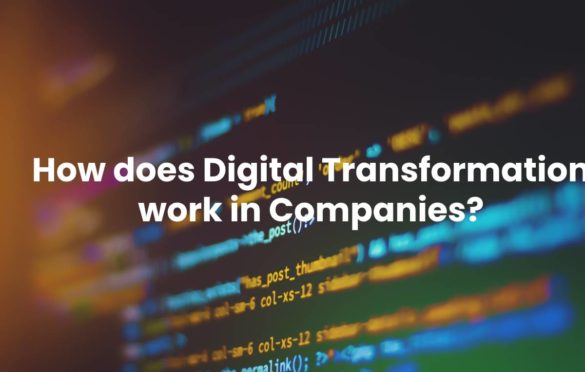  How does Digital Transformation work in Companies?