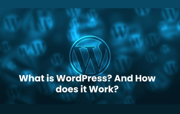  What is WordPress? And How does it Work?