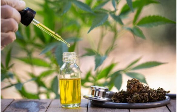  CBD Oil Benefits For Health And Wellness