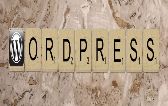  How To Make Your WordPress Site More Accessible?