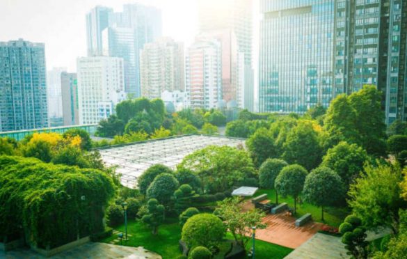 Why Are Many Countries Investing In The Cities Of The Future?
