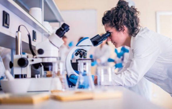 What You Need For A Successful STEM Career