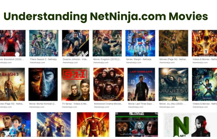 Understanding NetNinja.com Movies