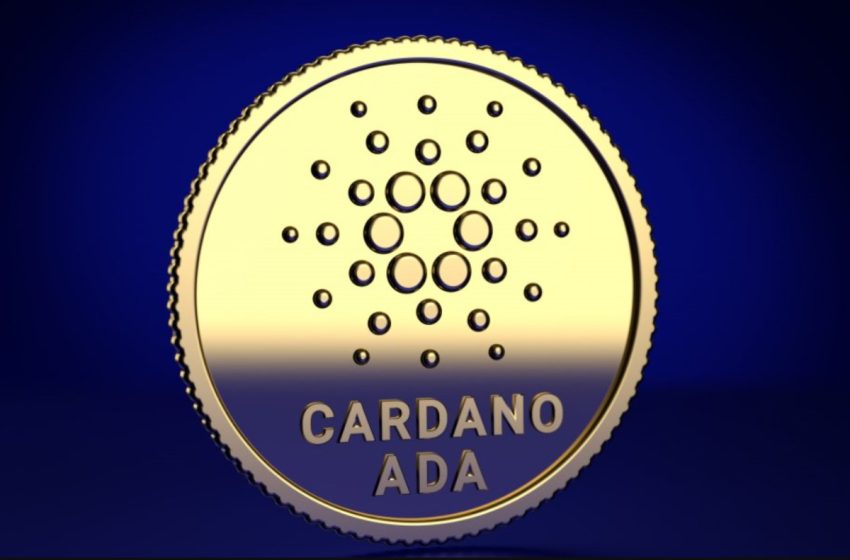  How to Navigate Swap and Stake Mechanisms in Cardano (ADA)